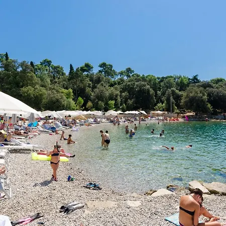 Cerin * Rovinj